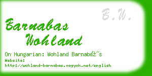 barnabas wohland business card